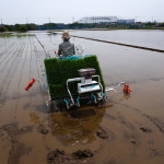 【田植え】