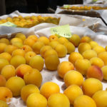 (日本語) 【8年目の梅漬けイベント】