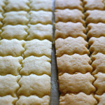 【わさびクッキーと20代】