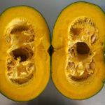 (日本語) 【TsucuriteとTSUCURITE】