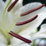 (日本語) 【8月26日のこと】