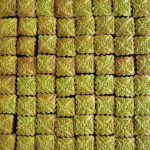 (日本語) 【今週末は&SCENEに出店します】