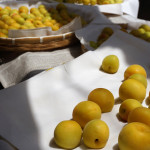 【梅干し作り】