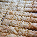 【じゃがチップ】