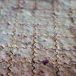 【じゃがチップ 続編】