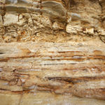 【今週末は三宿で出店です】