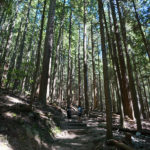 (日本語) 【カナダその16 　グラウス山と花火大会】