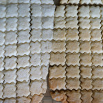 【クマと焼菓子に通づるもの】