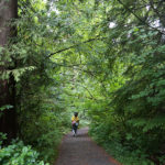 (日本語) 【カナダその25　スタンリーパークで苔萌え】