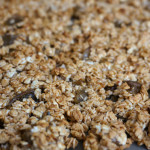 【お知らせと主張の弱い梅】