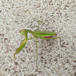 【カメラ目線】