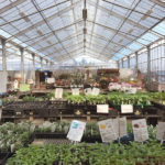 (日本語) 【常滑でも産直に通う】