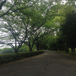 【休む事も仕事なり】