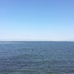 (日本語) 【5月の予定とちょこっと先のこと】