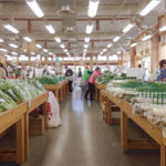 (日本語) 【今週末は&SCENEに出店します】