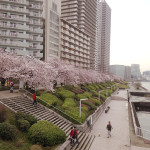 (日本語) 【隅田川ラン】