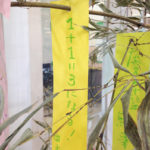 (日本語) 【一人暮らし、始めました】