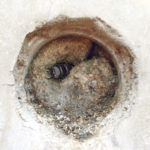 (日本語) 【コンクリート壁面に夏を見つける】