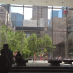 (日本語) 【ニューヨーク旅 その12 MoMA と WHITNEY MUSEUM 】