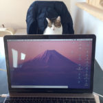 【個人事業主と法人】