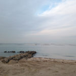 (日本語) 【1月以降の通販に関して】