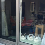 (日本語) 【會田家のクリスマス】