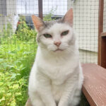 【2025年は次につながる一年】