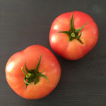 (日本語) 【野良猫を保護するということ】