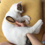 (日本語) 【求め続けたらきりがない】