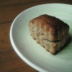 ホシノとの戯れ