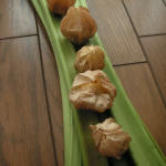 ほおずきとルバーブ