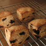 自家製酵母でプルーンスコーン