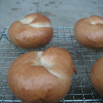 コーヒーチェリー酵母でベーグル