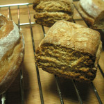 スコーンとミルクハース