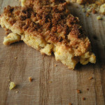 ズブリソローナ