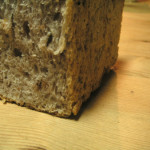 パンドミデビュー