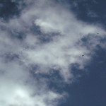 【お知らせとこだわり】