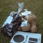 長野からのおくりもの