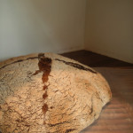 お店巡り その2 Signifiant_Signifie