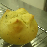 白神こだま酵母