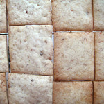 【告知と栗クッキー その2】