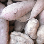 【お芋いろいろ】