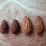 【アーモンドの種類】