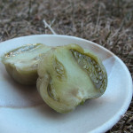 【青トマトの味噌漬け】