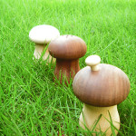 【キノコ】