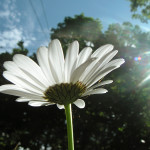 【両親と過ごす】