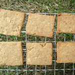 【米粉プレーンクッキー】